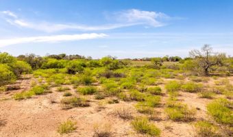 4246 Rakowitz Rd, Adkins, TX 78101