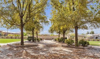 778 Hibiscuss Blossom St, Henderson, NV 89011