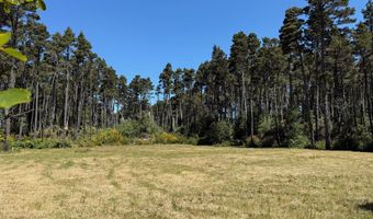 87219 BEACH Ln, Bandon, OR 97411