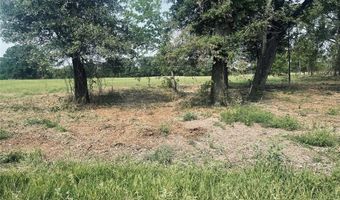 Lot 6 TBD County Road 1560, Alba, TX 75410