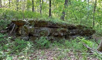County Road 544, Bakersfield, MO 65609