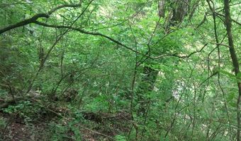 468 Adams Rd, Ardmore, TN 38449