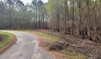Tract 5 Smith Lane, Bowman, SC 29018