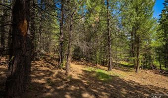 Price Loop lot 51, Cascade, ID 83611