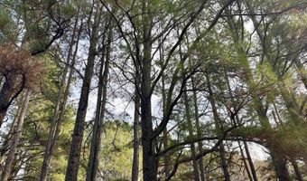 S Waller Rd, Bald Knob, AR 72010