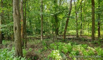7670 Wood Violet Ct SE, Ada, MI 49301