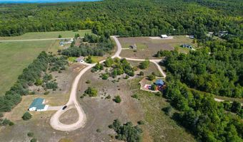 8865 ROBIN 3, Alanson, MI 49706