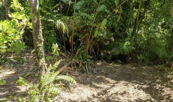 62 HOOLAWA Rd B, Haiku, HI 96708