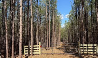 MOUNTAIN CUT RD lot C, Appomattox, VA 24522