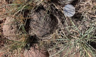 1342 County Road 5020, Concho, AZ 85924