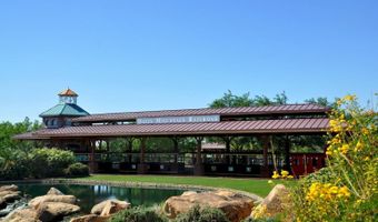 41202 N ROLLING GREEN Way, Anthem, AZ 85086