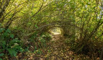 3406 SE AMITY DAYTON Hwy, Amity, OR 97101