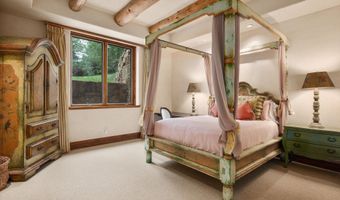247 Willoughby Way, Aspen, CO 81611