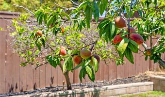 32005 Calle Ballentine, Temecula, CA 92592