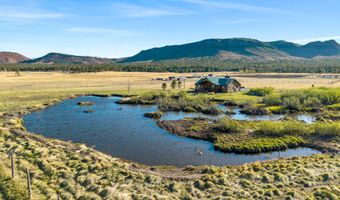 216 CR 2311, Alpine, AZ 85920