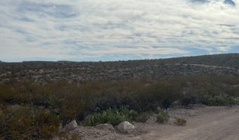 100 Killingsworth Rd, Alpine, TX 79830