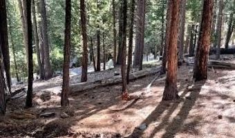 758 Yuroc Dr, Arnold, CA 95223