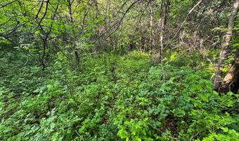 1471 576th Ave, Albia, IA 50150
