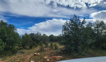 223 Westwood Rnch, Ash Fork, AZ 86046