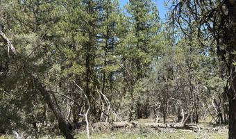 Chickadee Drive lot 10, Bonanza, OR 97623