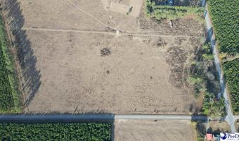 Lot D Hill Rd, Bishopville, SC 29010