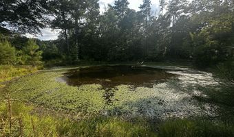 137 Shorter Rd, Braxton, MS 39044