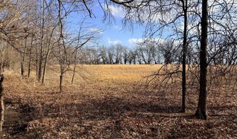 0001 CR-290, Asbury, MO 64832