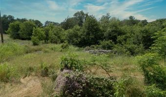 9 2 Acres CR 471, Teague, TX 75860