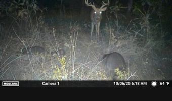 N80 Helt Rd, Antlers, OK 74525