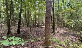 000 Pebble Cove Rd, Abbeville, AL 36310