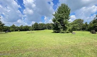 3945 Old Trezevant Rd, Atwood, TN 38220