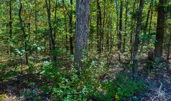 Castle Drive, Batesville, AR 72501
