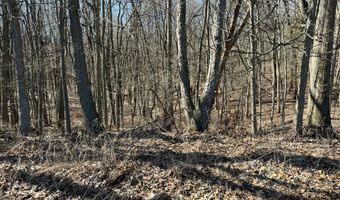 5725 Whitneyville Ave SE, Alto, MI 49302