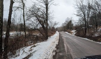 Algerine Street, Afton, NY 13730