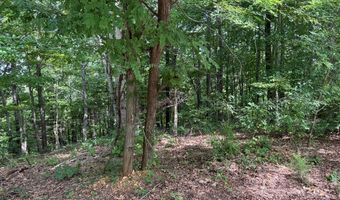 Cornerstone Pkwy lot 12, Allons, TN 38541