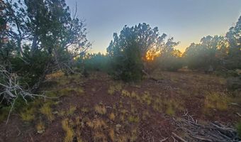 1 COUNTY ROAD N8155, Concho, AZ 85924