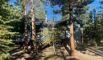 33 N Skinner Rd, Allenspark, CO 80510