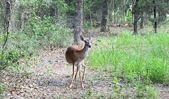 831 County Road 2200, Aquilla, TX 76622