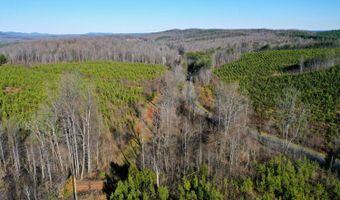 0 Windy Ridge Way, Amherst, VA 24521