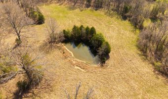 1079 Ff Hwy, Alton, MO 65606