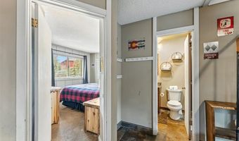 550 S FRENCH St 205, Breckenridge, CO 80424