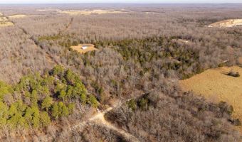 1789 County Road 226, Alton, MO 65606