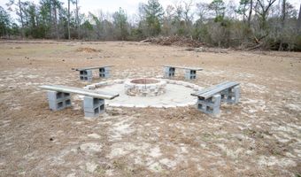 963 Springhill Church Rd, Alamo, GA 30411