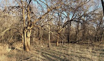 0002 CR-290, Asbury, MO 64832