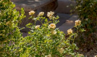 17 Winding Rd, Henderson, NV 89052