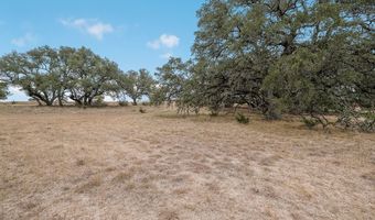 765 Annabelle, Bulverde, TX 78163
