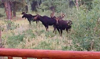 747 Coyote Hill Rd, Allenspark, CO 80510