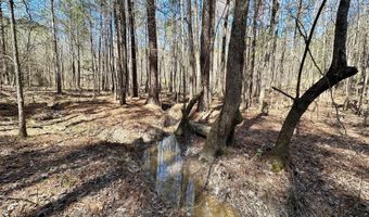3 County Road 5112, Ethel, MS 38829
