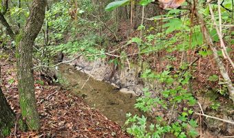 TBD Plowden Mill Road Tract D, Alcolu, SC 29001