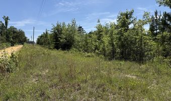 Lot # 1 - 6.2 Ac Perry Horton, Adrian, GA 31002